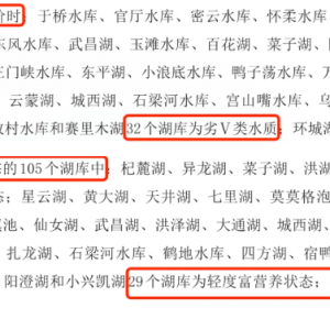 不看这篇文章，你对地表水总氮的理解还不够